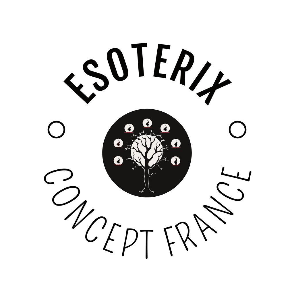 Encens Satya Cônes Positive Vibes - Boîte de 12 Paquets