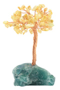 Arbre du Bonheur Citrine base Fluorite 14cm