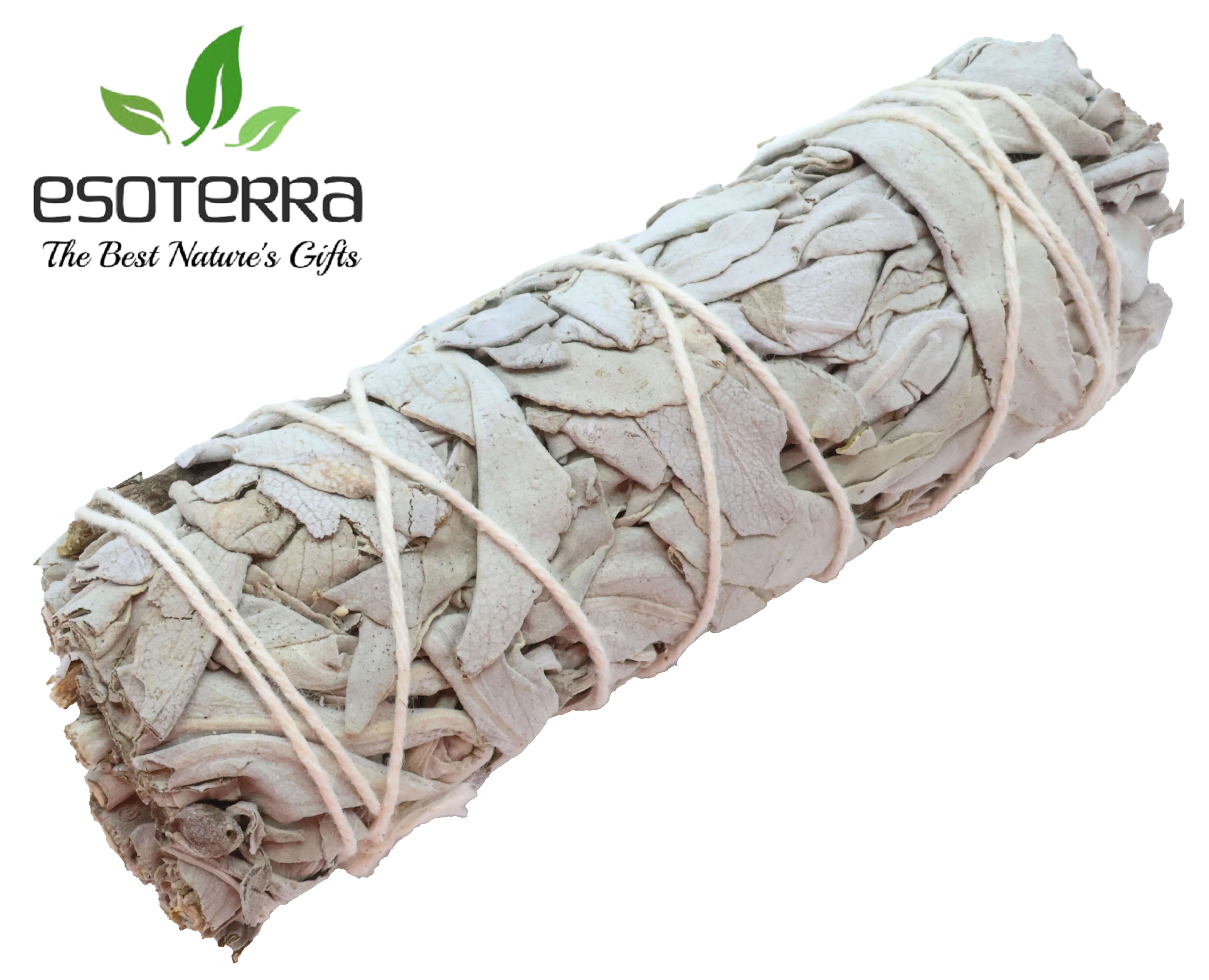 Sauge Blanche Apiana Californie - Fagot 11cm 25-35g