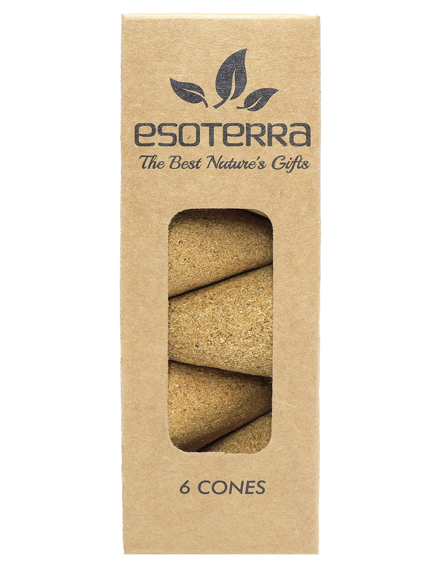 Cônes de Palo Santo non traités 6pcs