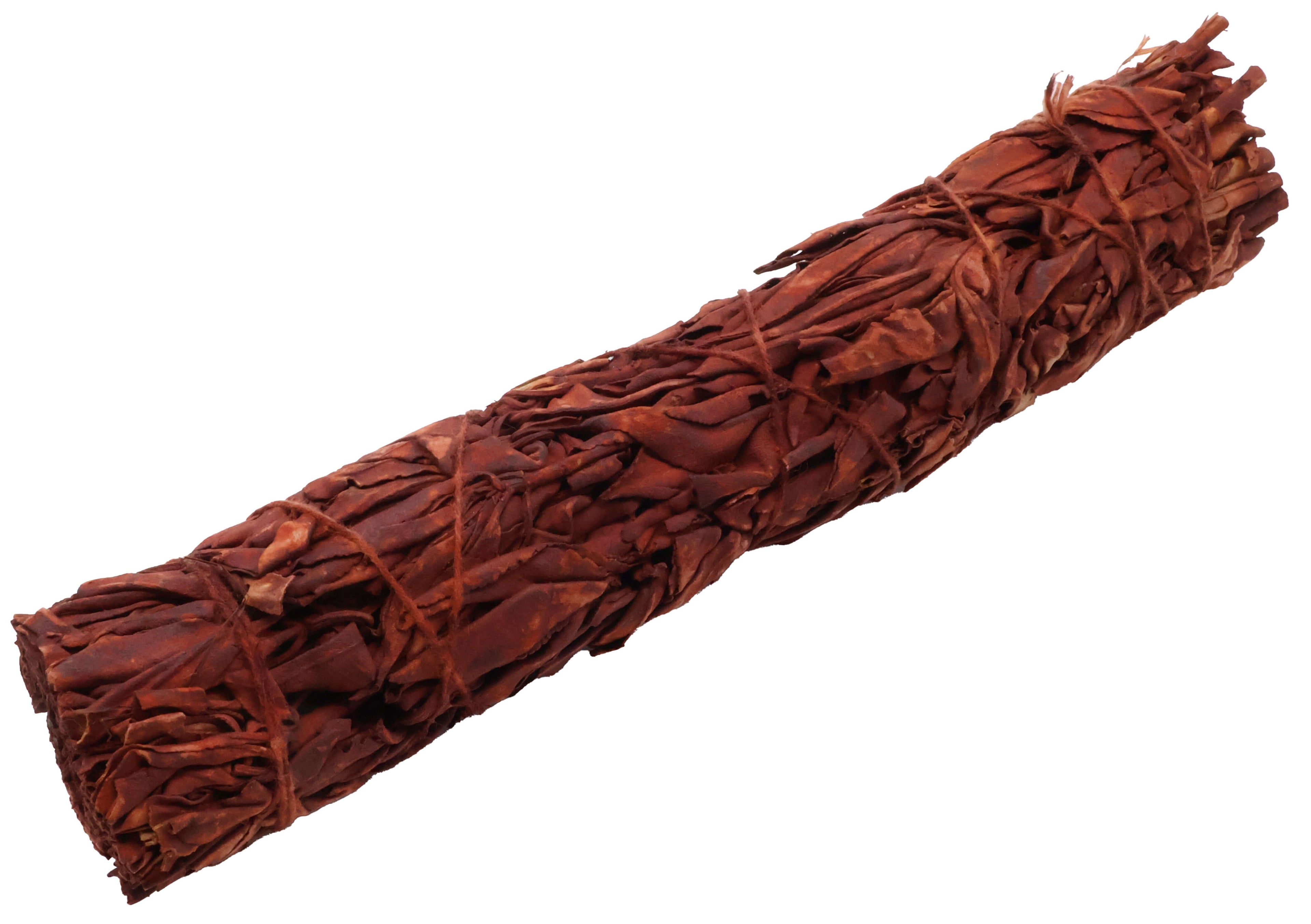 Sauge Sang de Dragon ficelle 70-80g 23cm