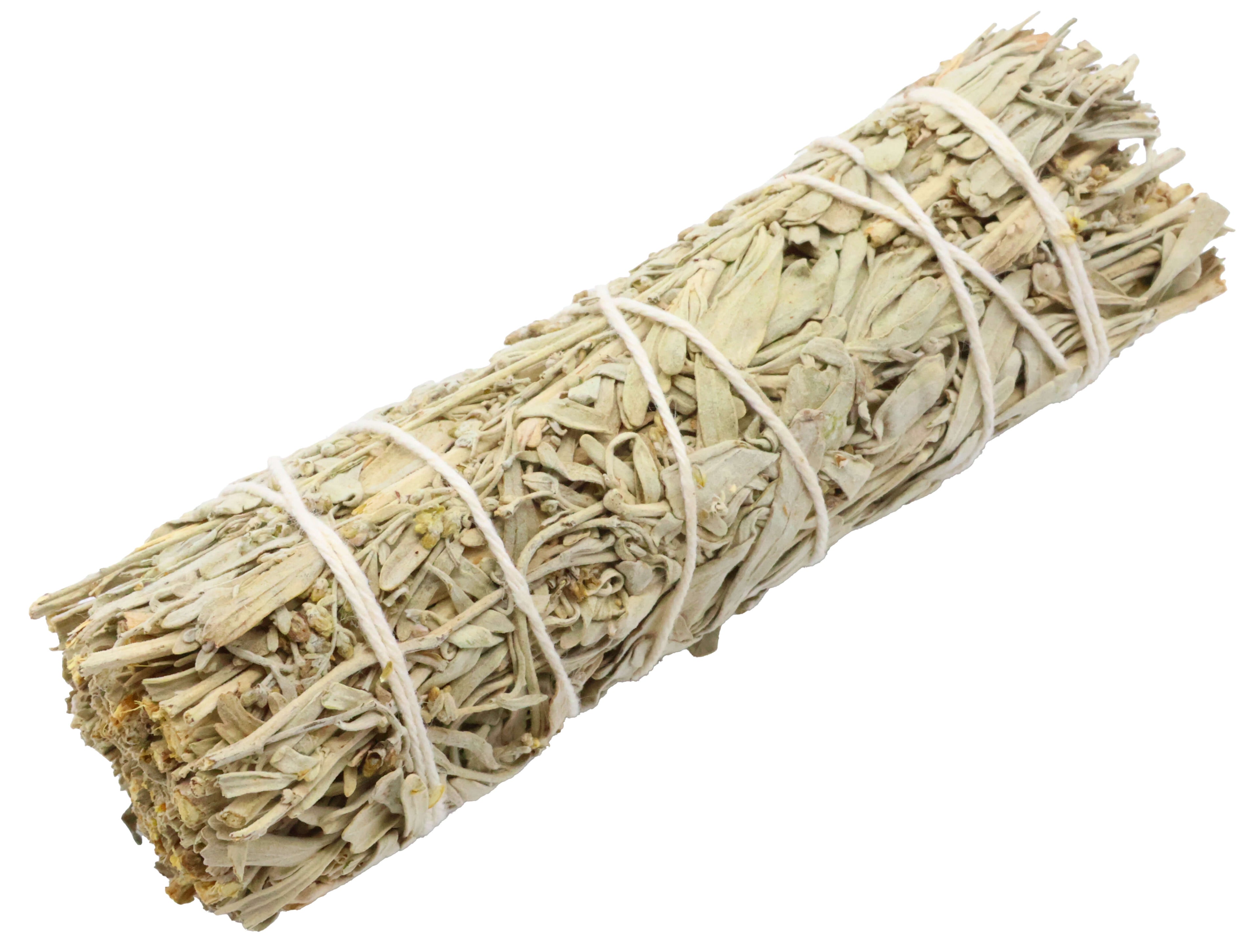 Sauge Bleue Californie Fagot 30g