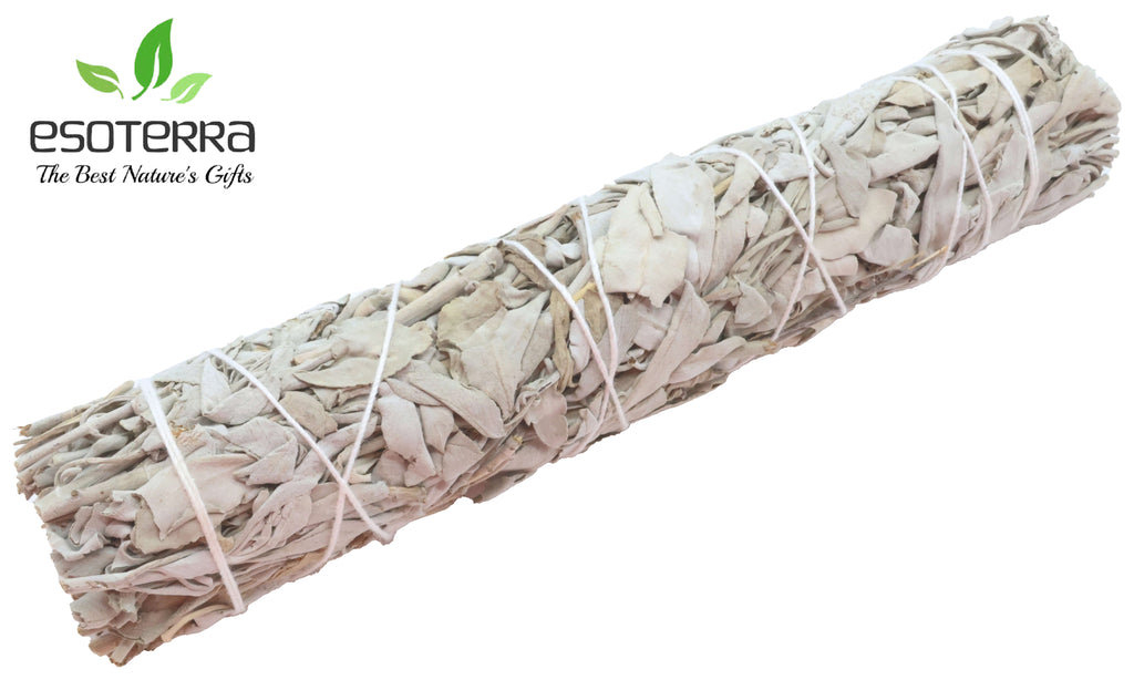 Sauge Blanche Californie Ficelle 21cm 80-120g